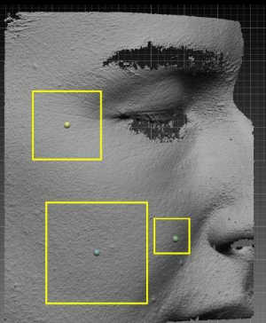 顔の部分を3次元画像に