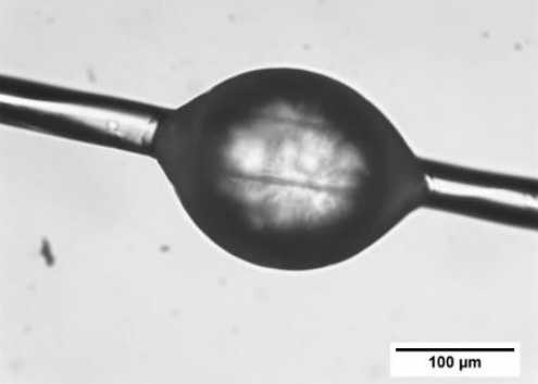 カーボン単繊維の接着作業