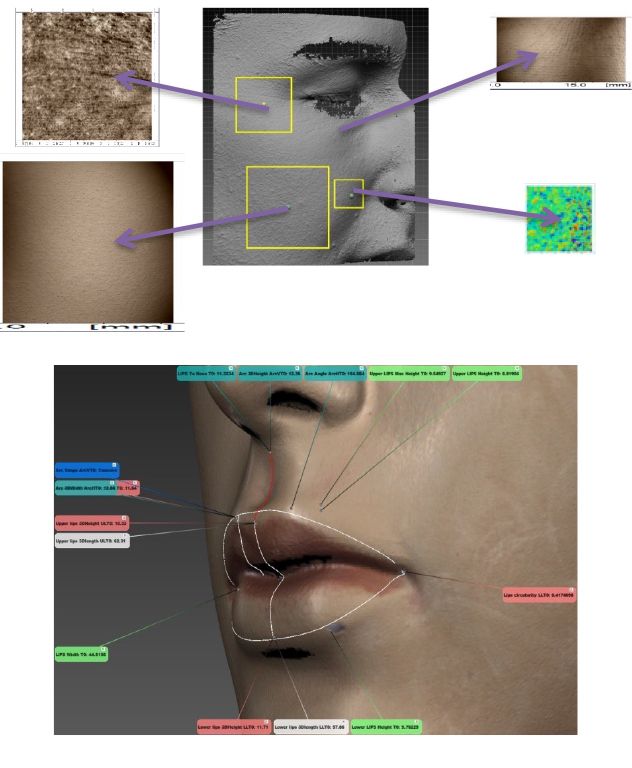 3次元皮膚画像解析装置顔画像