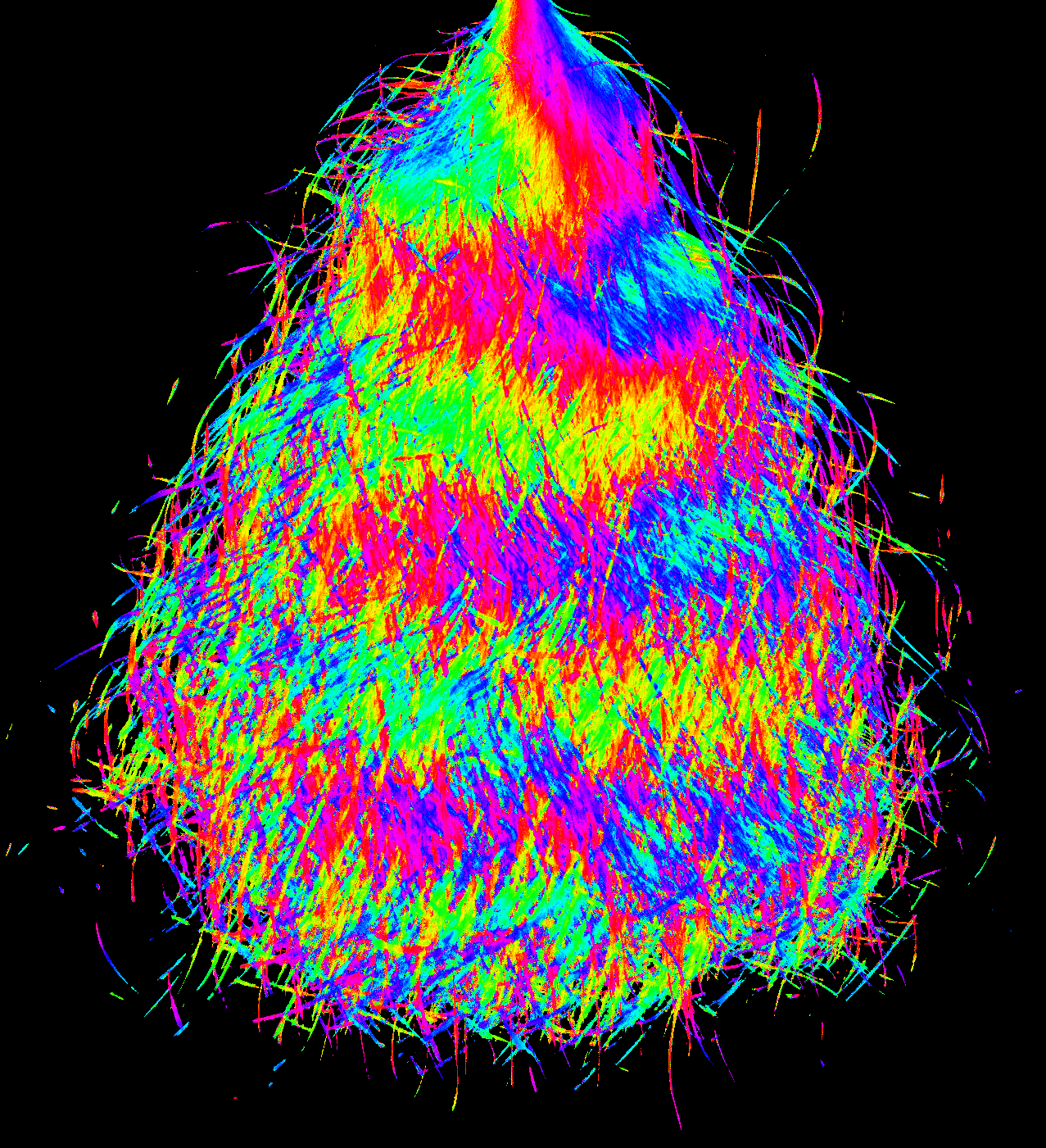 毛髪サンプルの向きを色分けした画像