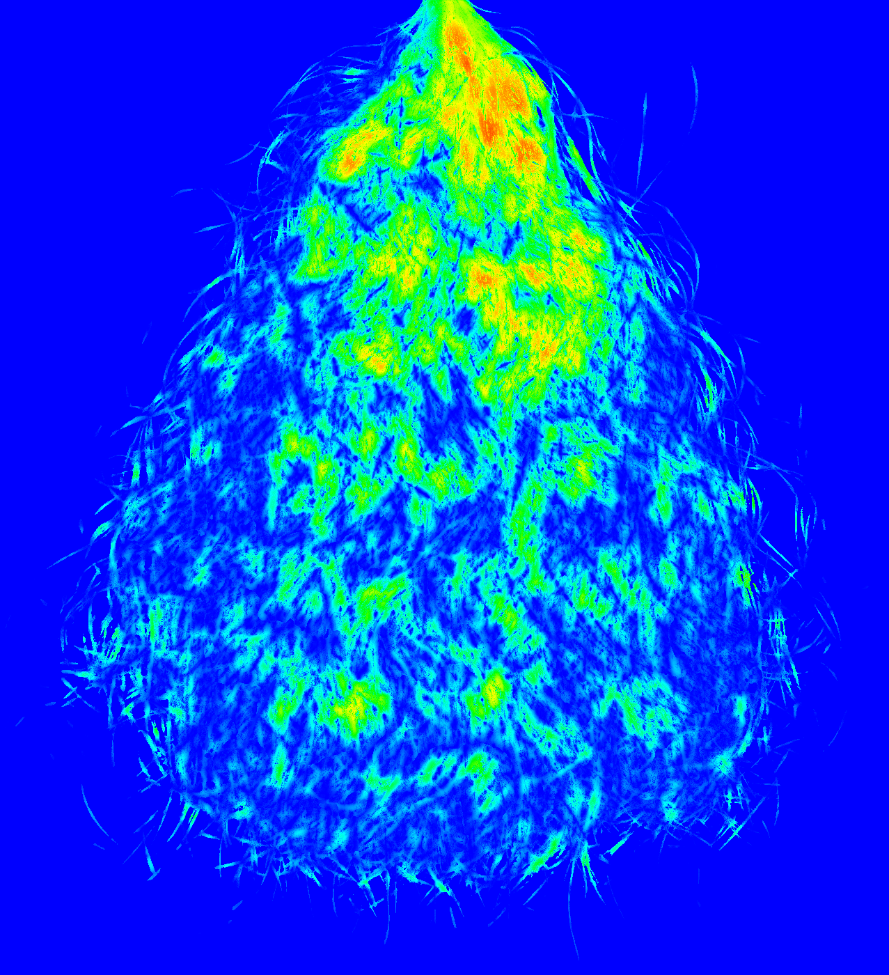 毛束のアライメント画像