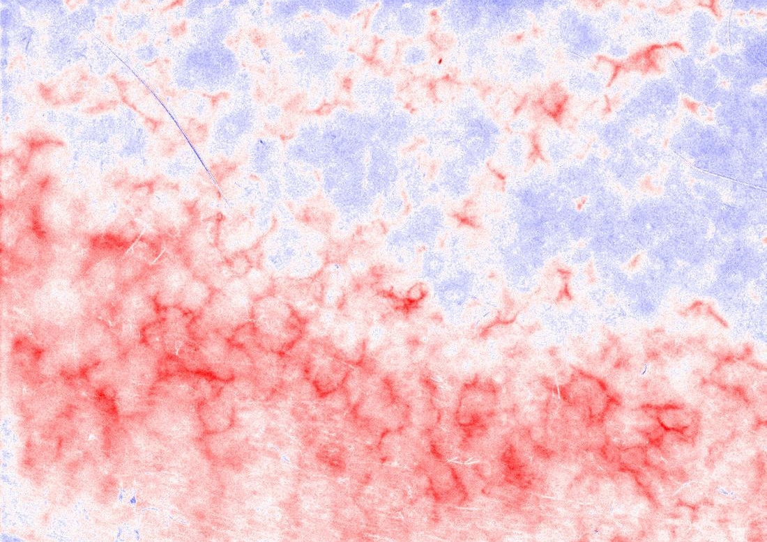 ポータブル水分蒸散計 VapoMeter®