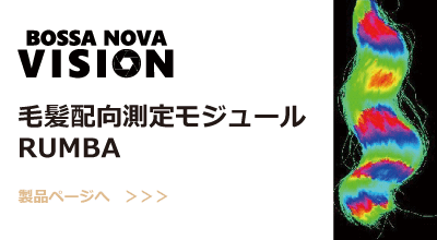 rumba-billboard-400x220.png