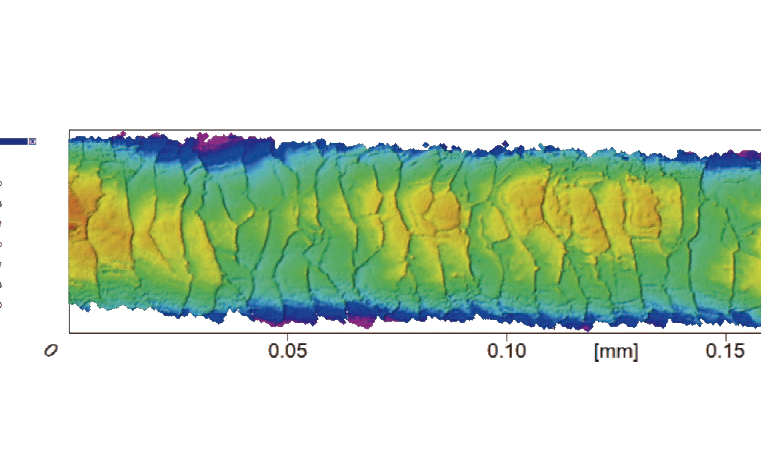 3D毛髪表面画像
