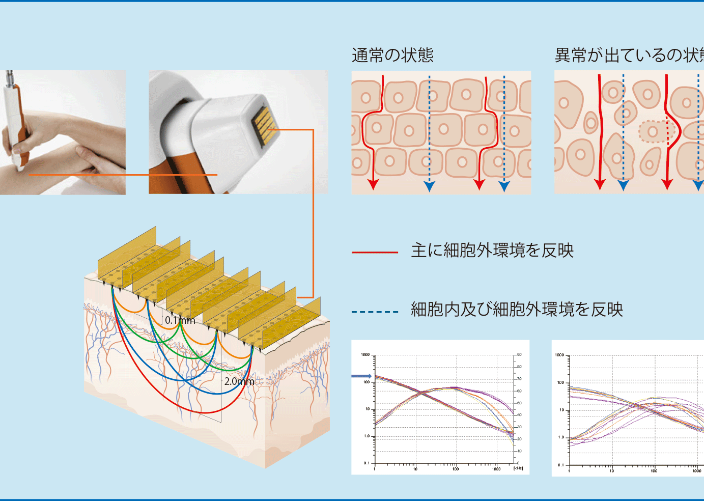 インピーダンスによるバリア機能の予測